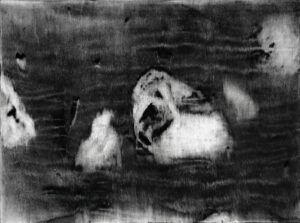 Alice_Vasseur_émerger