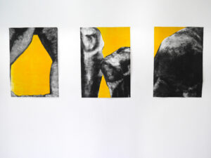 Alice_Vasseur_froler_les_colosses_exhibitionview_3