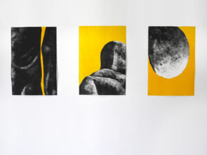 Alice_Vasseur_froler_les_colosses_exhibitionview_2