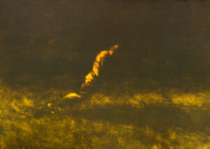 Alice_Vasseur-Intermission_IV_2024-monotype_sur_papier-70x100cm