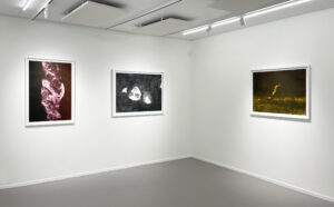 Lazarew_Gravité_exhibition_view_1